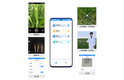 平凉市小麦亩穗数分析仪IN-XM02
